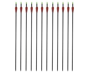 Outdoors Carbon 30-Inch Arrows with Field Points Replaceable Tips (12 Pack)