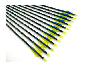 12 Fiberglass Target Practice Arrows with Replaceable Screw-In Tips